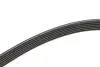 Ремінь генератора VW T5 3.2 V6 03-09/Sharan/Ford Galaxy 2.8 V6 00-10 (6PK1325) BOSCH 1987946206 (фото 3)