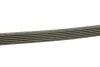 ПОЛІКЛИНОВИЙ РЕМІНЬ BOSCH 1 987 946 281 (фото 2)