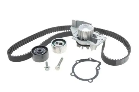 Комплект ГРМ + помпа Citroen Berlingo/Jumpy/Xsara/Peugeot 206/Expert/Partner 2.0HDI 98-11 (25.4x141z) BOSCH 1987946405