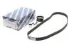 РМК ГРМ Z=137 AUDI/VW//FORD A4/80/Passat/Golf/Polo/Galaxy \'\'1,9 \'\'95-00 BOSCH 1987948255 (фото 2)