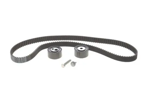 Комплект ГРМ Citroen C5/Peugeot 406 2.2 HDi 01- BOSCH 1987948278 (фото 1)