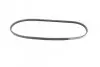 Ремінь П-клиновий 3PK750 RENAULT/SUZUKI Clio/Kangoo/Sandero/Thalia/Alto \'\'08-1.2 \'\'00>> BOSCH 1987948363 (фото 5)