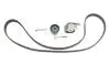 Комплект ГРМ Fiat Brava/Bravo/Doblo/Palio/Punto 1.9D 01- (24x193z) знято з постачання BOSCH 1987948908 (фото 1)