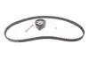 Комплект ГРМ VW Caddy II 1.4i 95-04 (19x135z) BOSCH 1987948984