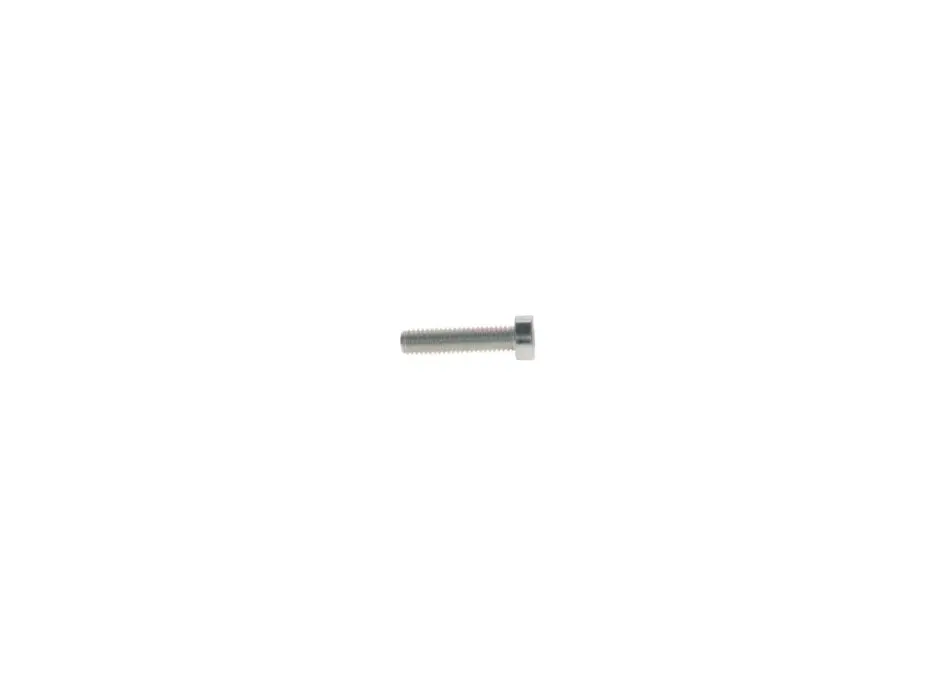 A_Гвинт TORX - кратн. 5 шт BOSCH 2912738203 (фото 1)