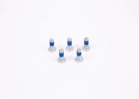 Гвинт TORX - кратн. 5 шт BOSCH 2914558171