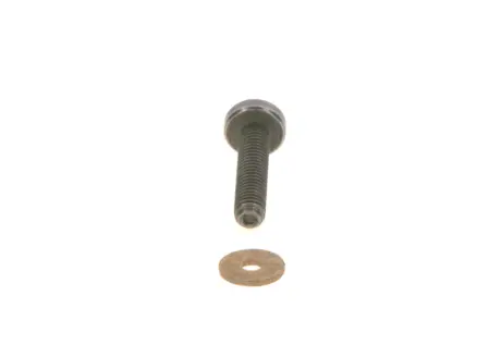Елемент помпи CR BOSCH F00N202193