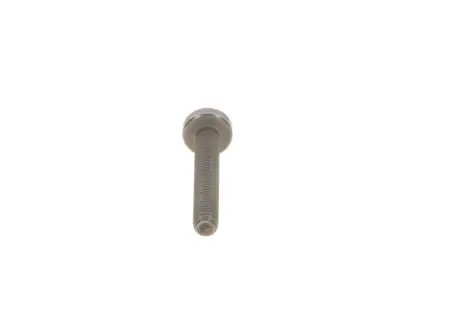 A_Гвинт розсіювача торкс - кратн. 5 шт. BOSCH F00N202194