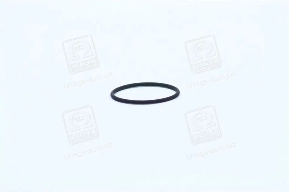 Опорне кільце BOSCH F00RJ00220 (фото 1)