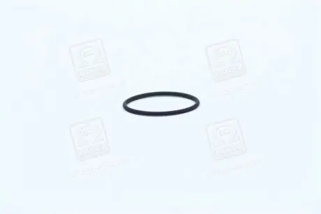 Опорне кільце BOSCH F00RJ00220