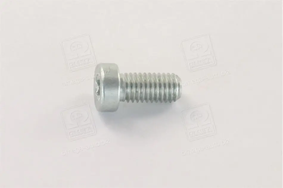 Гвинт з цил.головкою торкс ПНВТ CP (вир-во Bosch) BOSCH F01M100684 (фото 1)