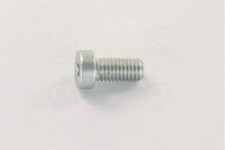 Болт - кратн. 5 шт. BOSCH F01M100684