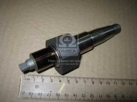 Ексцентриковий вал BOSCH F 01M 100 920