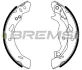 Гальмівні колодки зад. Ford Fiesta VI 08- (TRW) BREMSI GF0249 (фото 1)
