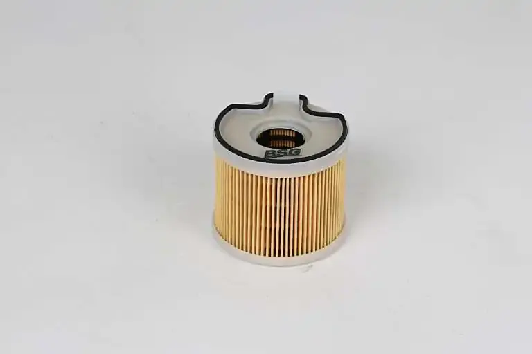 Фільтр паливний 2.0HDi Scudo/Expert 99-/Berlingo/Partner 99-05 (с-ма Bosch) BSG BSG 70-130-007 (фото 1)