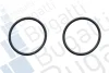 Насос BUGATTI PA0320C (фото 2)