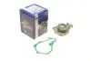 Помпа води Citroen C1/C2/C3/Nemo/Ford Fiesta/Peugeot 1007/206/307 1.4HDi/TDCI 02- BUGATTI PA10013 PA10013