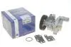 Помпа води Ford Transit VII/VIII 2.4DI/TDCi/TDE 00-14 (R/B) (8 лоп.) (7 кан.) (с корпусом) BUGATTI PA10095 (фото 1)
