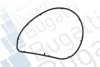 Насос BUGATTI PA10295 (фото 2)