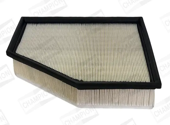 Фільтр повітряний BMW 5 (G30, G31, F90) 16-/7 (G11, G12) 15-/X5 (G05) 18-/X7 (G07) 18- H 59mm CHAMPION CAF101225P (фото 1)
