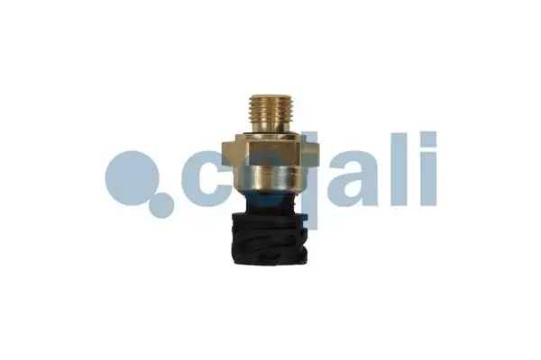Датчик тиску у впускному колекторі DAF CF, CF 85, XF 105, XF 106 MX-11210-PX-7239 10.05- COJALI 2262032 (фото 1)