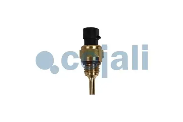 Датчик температури охолоджуючої рідини COJALI 2262054 (фото 1)