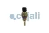 Датчик температури охолоджуючої рідини COJALI 2262054 (фото 1)