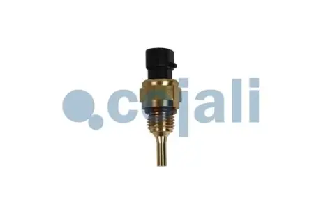 Датчик температури охолоджуючої рідини COJALI 2262054