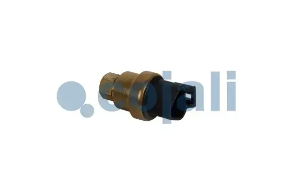 Датчик тиску масла (2 pin) AG CHEM 6203, 8203, 1264C, 1274 C, 8204, 8244 CATERPILLAR 324D, 328D, 329D, 330C, 330CMHPU, 330D, 330DL, 330DLN, 330DMHPU, 336D, 336DL, 336DLN, 336EL, 340D, 345CMHPU COJALI 2263025 (фото 1)
