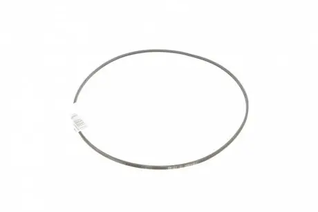 Ремінь генератора поліклиновий CONTINENTAL Contitech 2PJ800