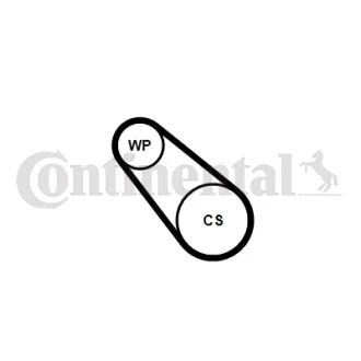 Комплект ремня грм+ помпа Contitech 3PK576ELASTWP2