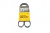 Ремінь генератора поліклиновий CONTINENTAL Contitech 4PK1022 ELAST (фото 1)