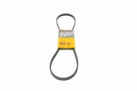 Ремінь генератора поліклиновий CONTINENTAL Contitech 4PK1100