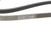 Ремінь генератора Ford Galaxy/Mondeo 2.0 EcoBoost 14- CONTINENTAL Contitech 4PK1366 (фото 2)