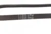 Ремінь генератора поліклиновий CONTINENTAL Contitech 4PK850 ELAST (фото 3)