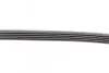 Ремінь генератора поліклиновий CONTINENTAL Contitech 5PK1025 (фото 3)