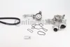 Комплект (ремінь+ролики+помпа) Contitech 5PK1230WP1 (фото 1)