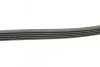 Ремінь генератора поліклиновий CONTINENTAL Contitech 5PK1290 (фото 2)