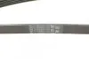 Ремінь генератора поліклиновий CONTINENTAL Contitech 5PK1765 (фото 3)