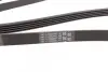 Ремінь генератора поліклиновий CONTINENTAL Contitech 5PK1788 (фото 3)
