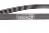 Ремінь генератора поліклиновий CONTINENTAL Contitech 5PK2020 (фото 2)