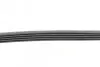Ремінь генератора поліклиновий CONTINENTAL Contitech 5PK865 (фото 2)