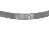 Ремінь генератора поліклиновий CONTINENTAL Contitech 5PK868 ELAST (фото 3)
