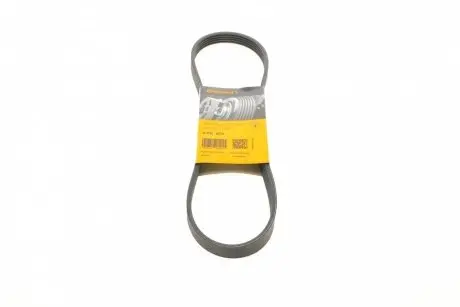 Ремінь генератора поліклиновий CONTINENTAL Contitech 5PK875
