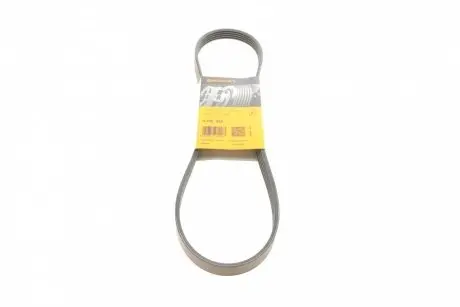 Ремінь поліклиновий Contitech 5PK955