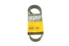 Ремінь генератора поліклиновий CONTINENTAL Contitech 6PK1033 (фото 1)