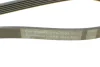 Ремінь генератора поліклиновий CONTINENTAL Contitech 6PK1033 (фото 4)