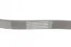 Ремінь генератора поліклиновий CONTINENTAL Contitech 6PK1042 ELAST (фото 3)