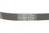 Ремень поликлиновый ContiTech Contitech 6PK1050 (фото 3)