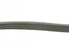 Комплект ременя генератора CONTINENTAL Contitech 6PK1070K1 (фото 2)